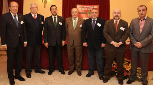 Plataforma del Tercer Sector