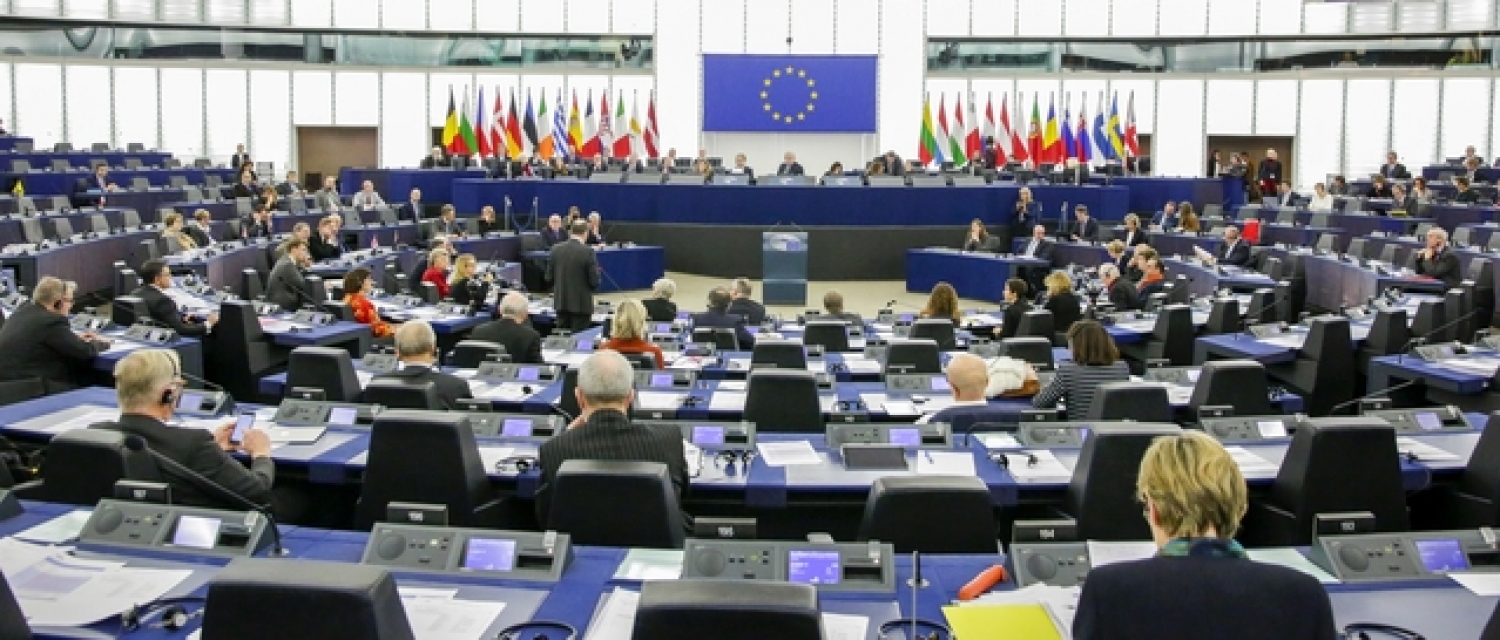 EAPNES abre un espacio de reflexión sobre el Pilar Europeo de Derechos Sociales, la Estrategia EAPNES abre un espacio de reflexión sobre el Pilar Europeo de Derechos Sociales, la Estrategia